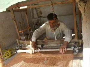 عبا بافی بوشهر + قیمت خرید، کاربرد، مصارف و خواص